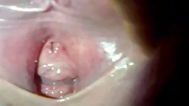 Seksiä seksi videot  ...