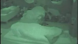Kauneus nudistikuvat ...