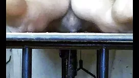 Seksiä studiossa suo ...