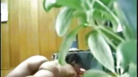 Kypsä seksivideo vid ...