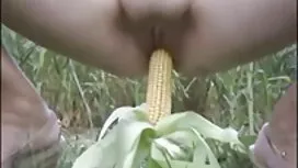 Vaginoiden seksivide ...