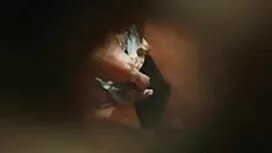 Anaalisuudelma suoma ...