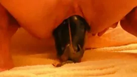 Porno Video seksivid ...